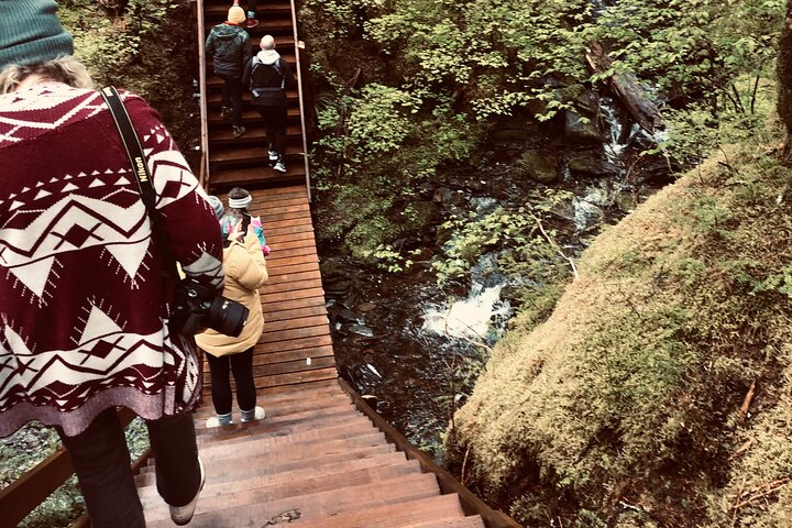 Alaska Bigfoot Adventures - Photo 1 of 8